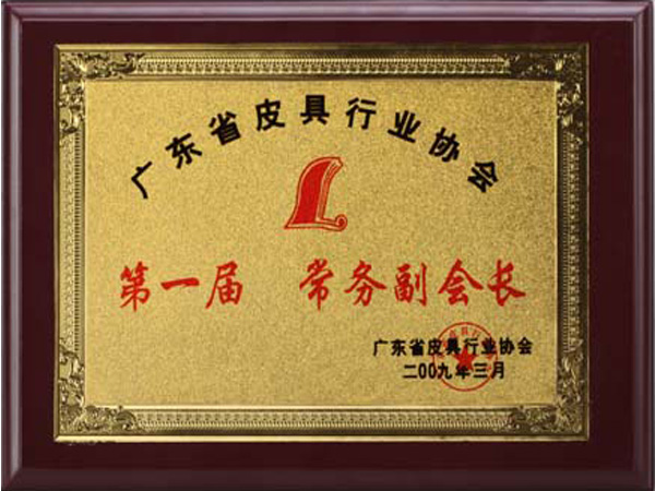 青青草视频影院榮譽：廣東省皮具行業協會常務副（fù）會長