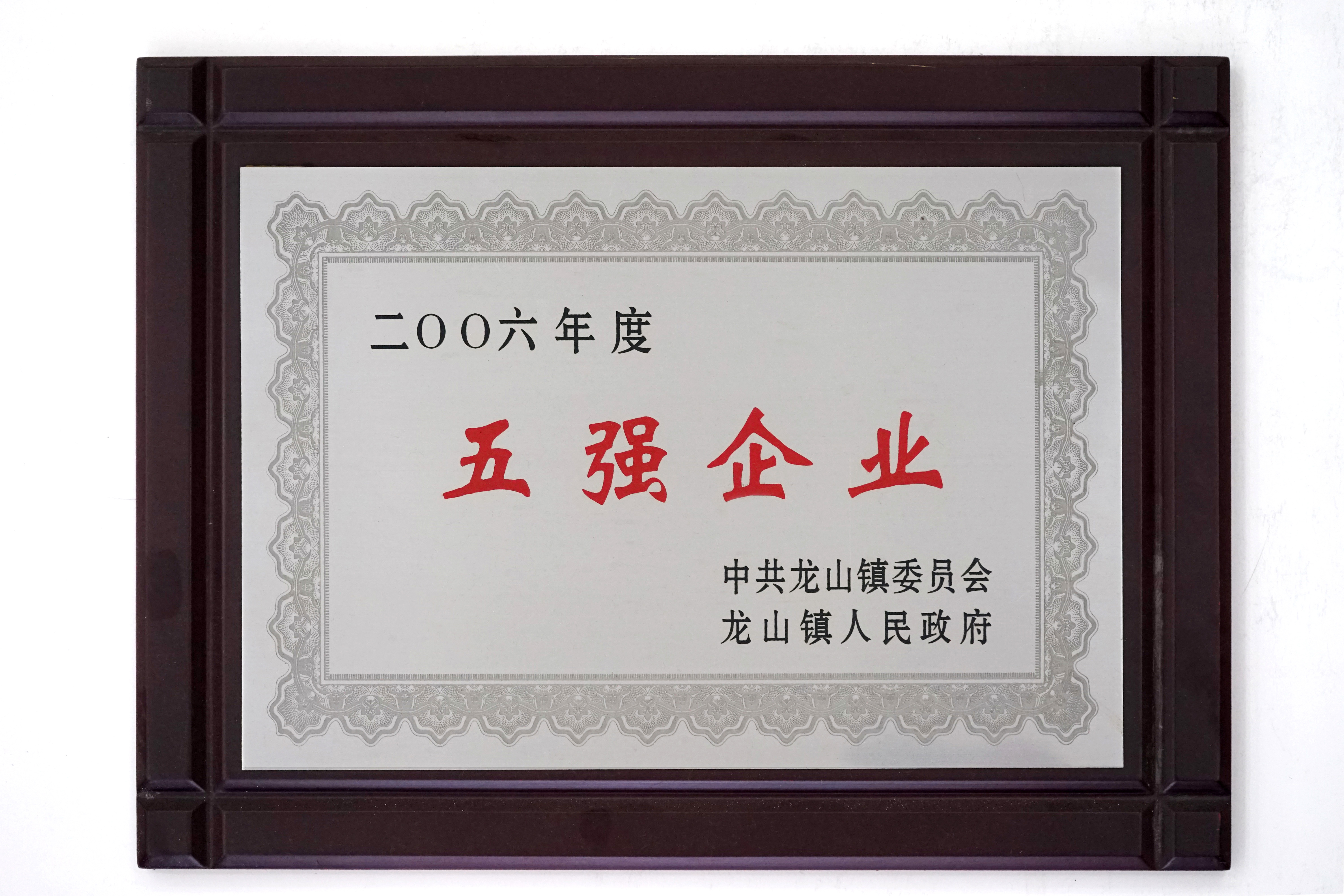 五（wǔ）強企業（yè）2006