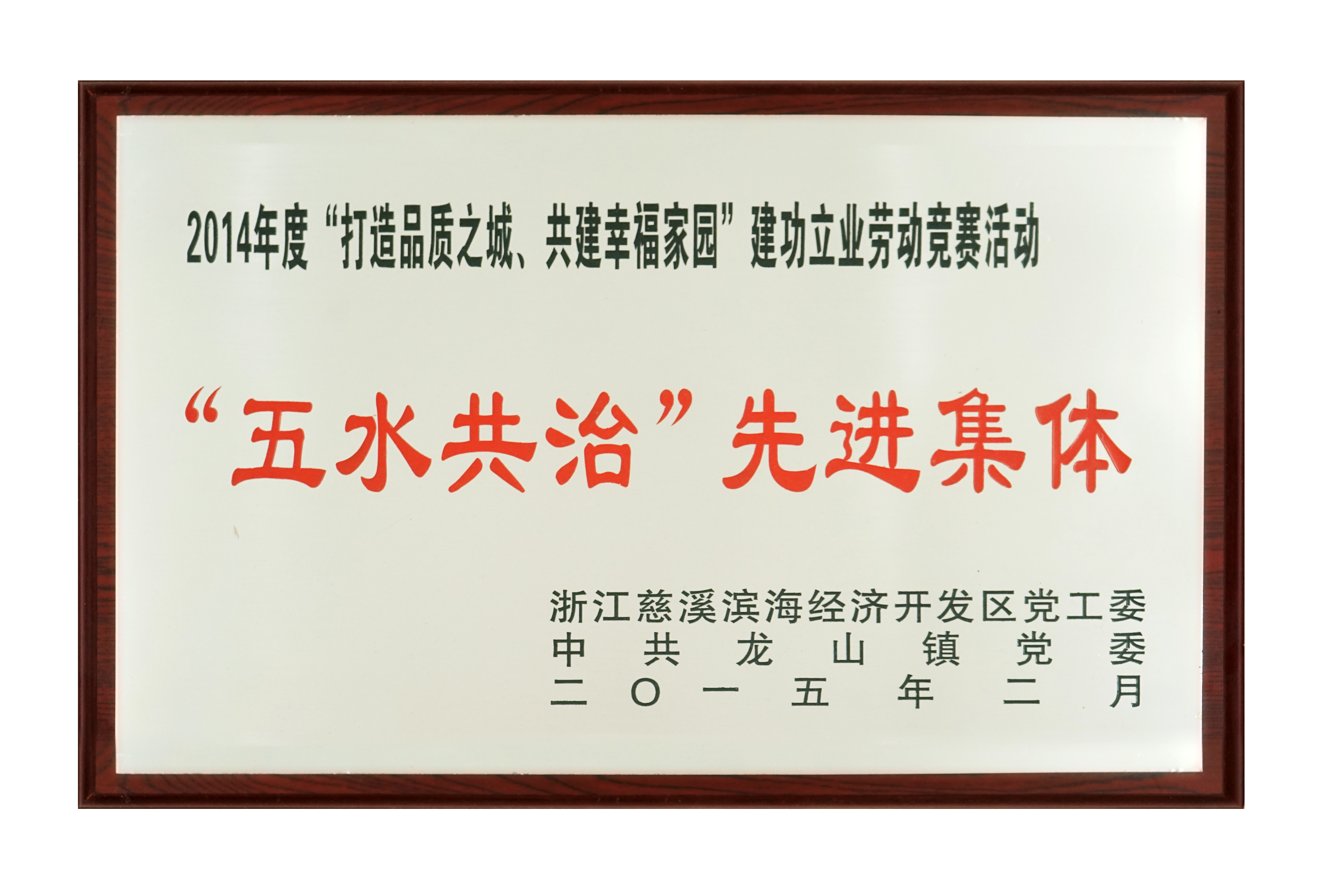 五水共治 先進集體2015